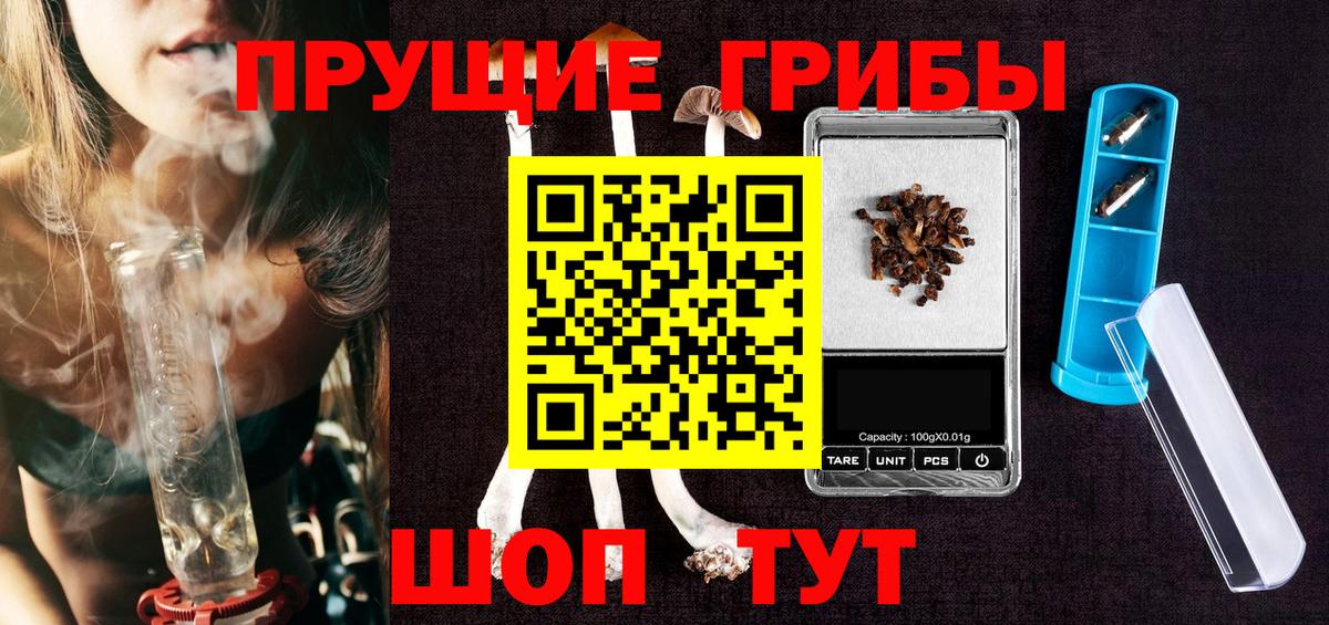 Псилоцибиновые грибы Cubensis  сколько стоит  Зеленогорск  Вход с VPN 
