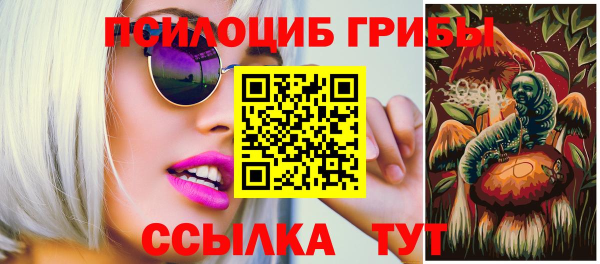 Псилоцибиновые грибы Psilocybine cubensis Зеленогорск